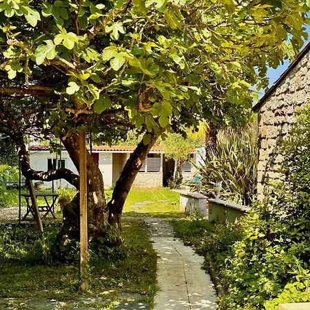 Harmony Homes Saint-Sulpice-De-Royan - Heated Pool & Beaches 15 Min Away فيلة