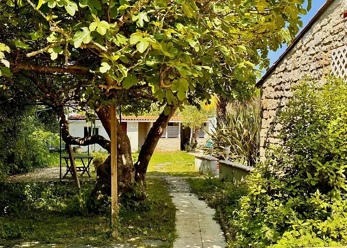 La Archipel Royan & Pool Tennis Villa